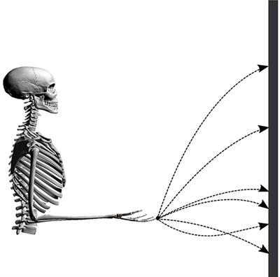 Optimality Principles in Human Point-to-Manifold Reaching Accounting for Muscle Dynamics